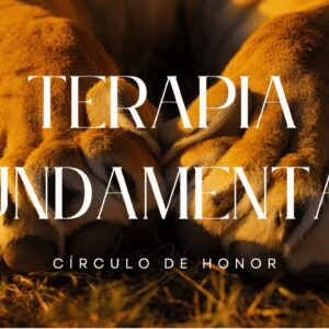Protocolo de terapia CDH - Terapia Fundamental