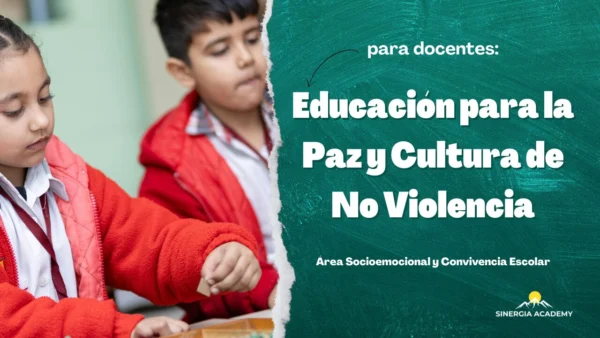 Educación para la Paz y Cultura de No Violencia - Sinergia Academy