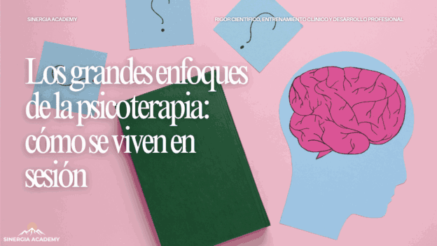 Protegido: Los grandes enfoques de la psicoterapia: cómo se viven en sesión