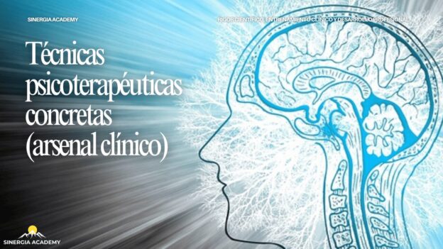 Protegido: Técnicas terapéuticas concretas (arsenal clínico)